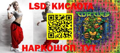 стаф Кинель