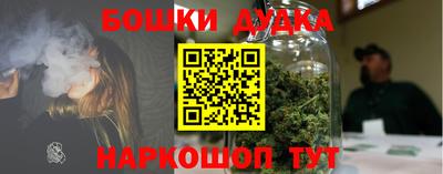 стаф Кинель
