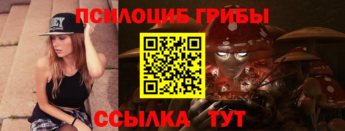Псилоцибиновые грибы мицелий  Псилоцибиновые грибы GOLDEN TEACHER  Вход с VPN  Барабинск 